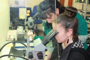 "MANAGER FOR A DAY" AT OPTIX